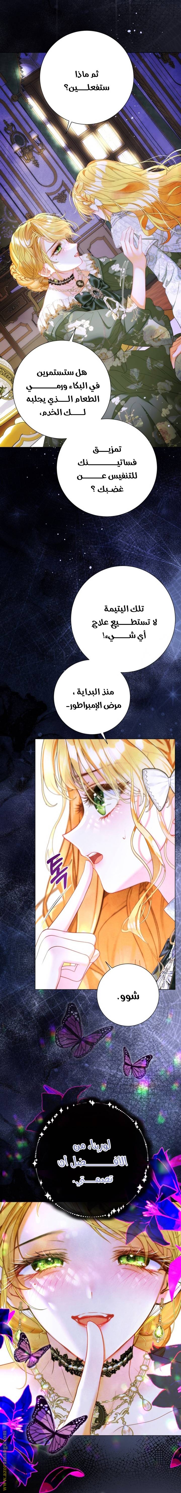 الصفحة 25