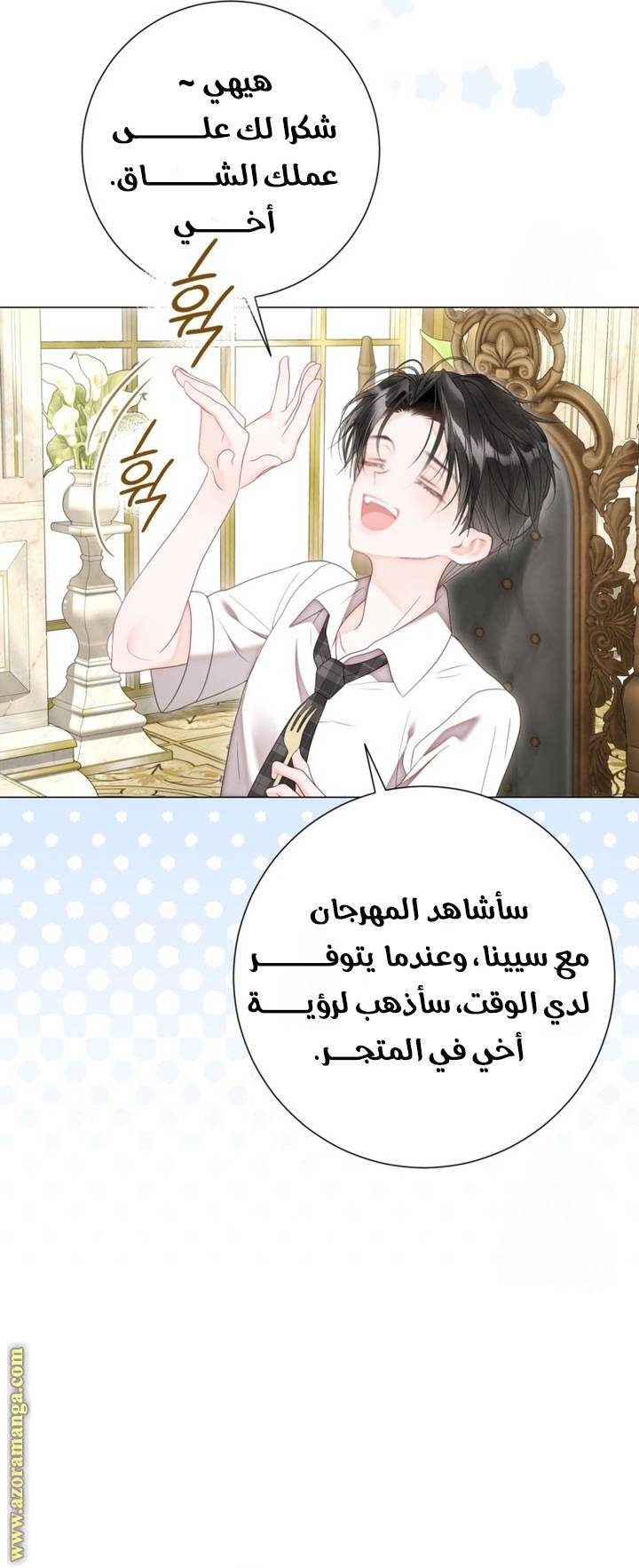 الصفحة 13