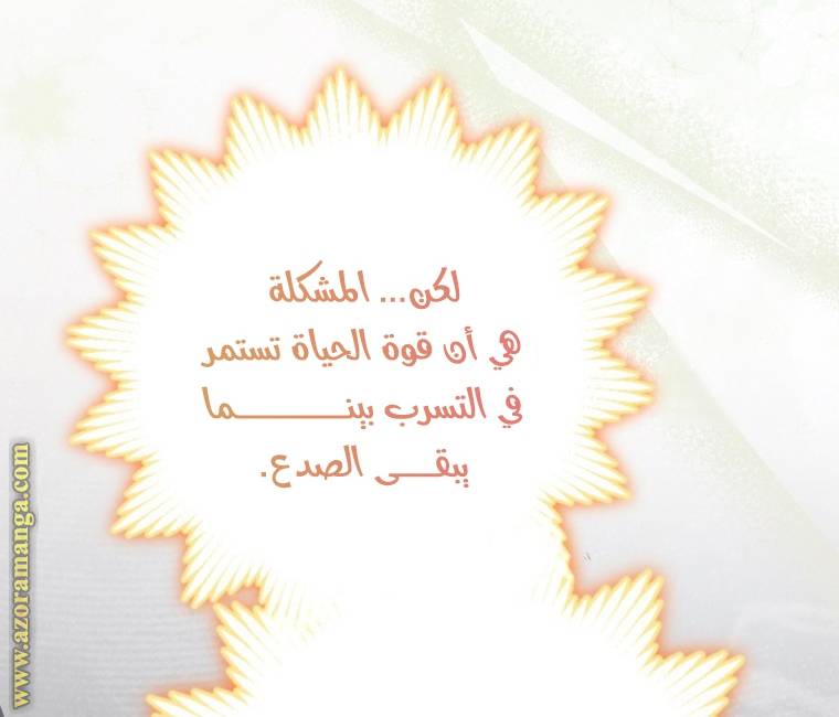 الصفحة 20