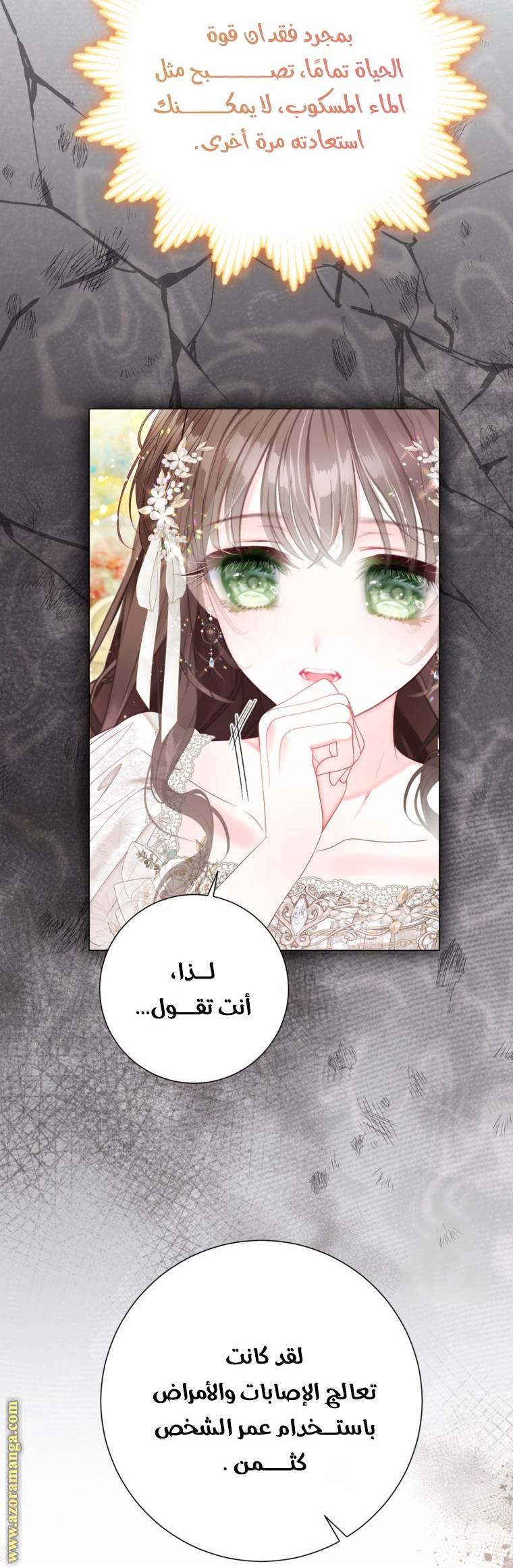 الصفحة 21