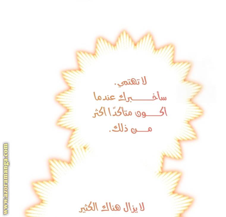 الصفحة 24