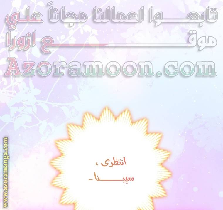 الصفحة 29