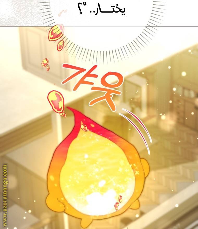 الصفحة 42