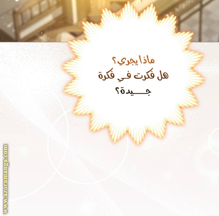 الصفحة 43