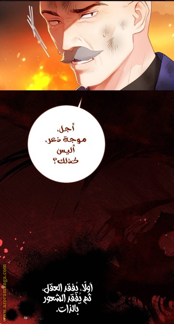 الصفحة 23