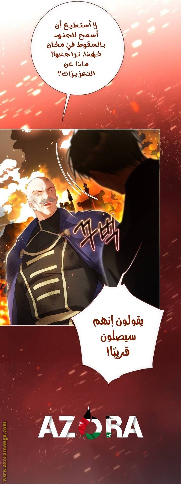 الصفحة 25
