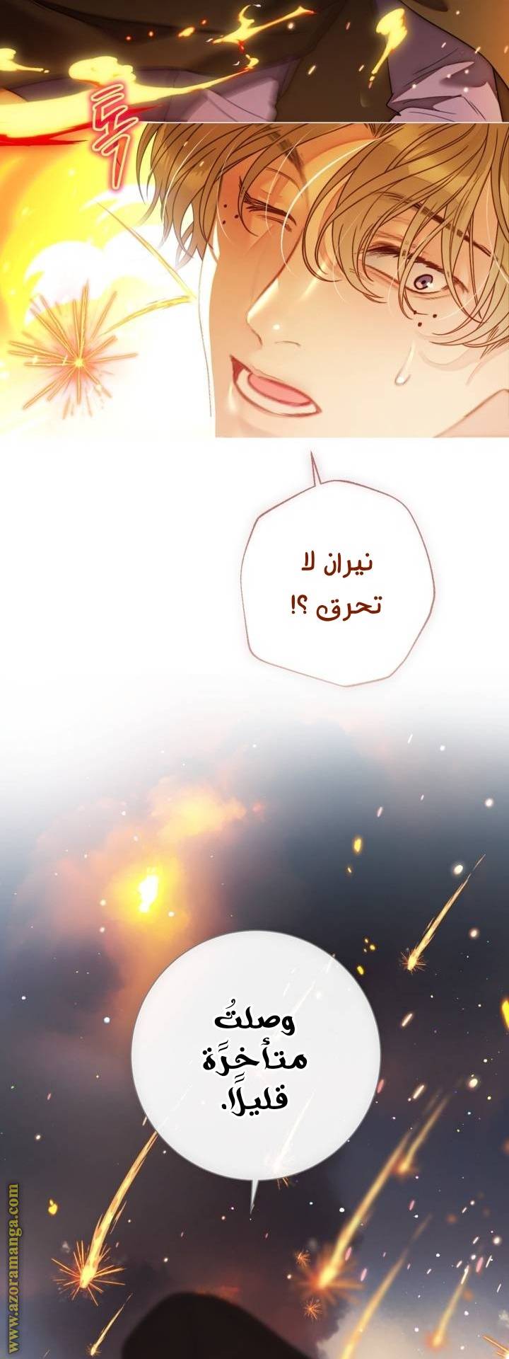 الصفحة 31