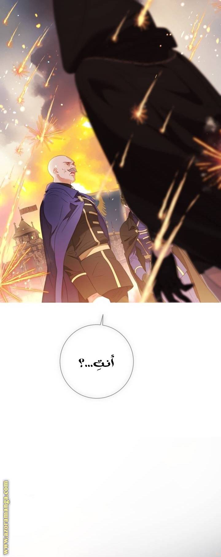 الصفحة 32