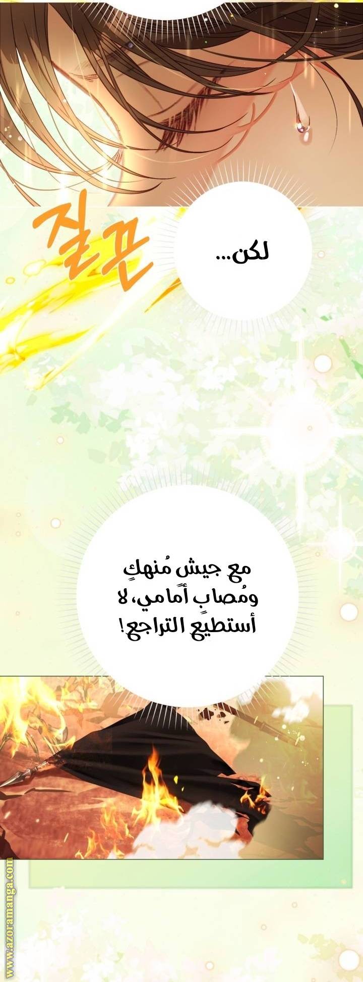 الصفحة 44