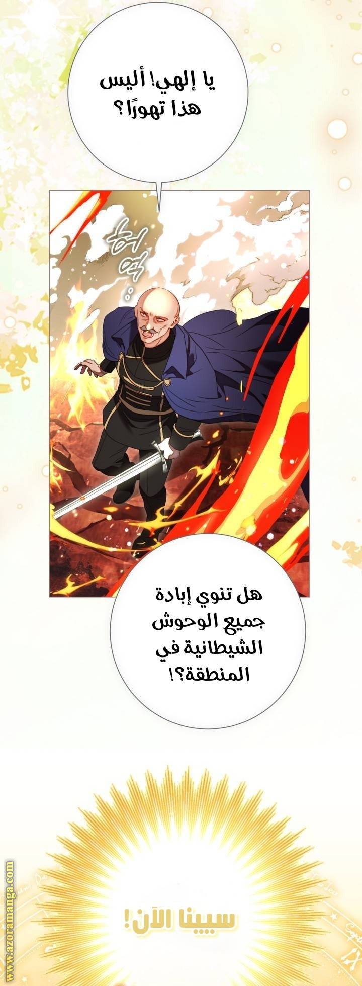 الصفحة 45