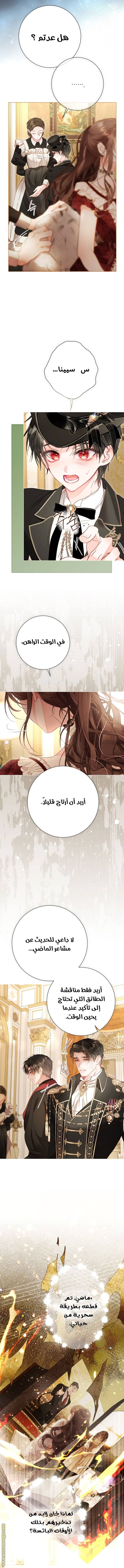 الصفحة 13