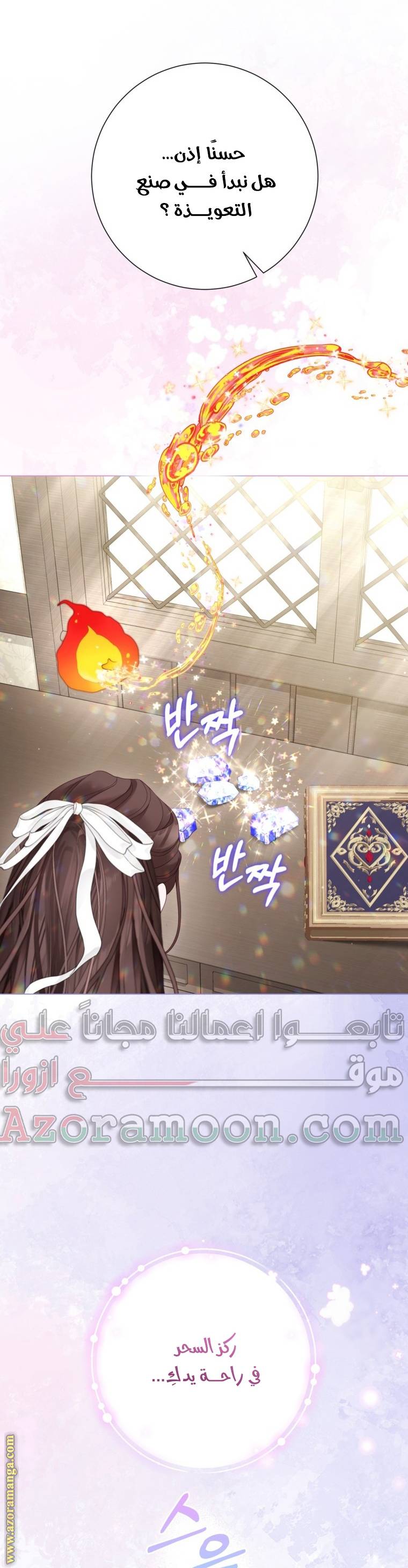 الصفحة 17
