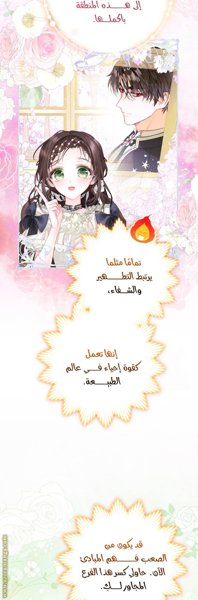 الصفحة 31