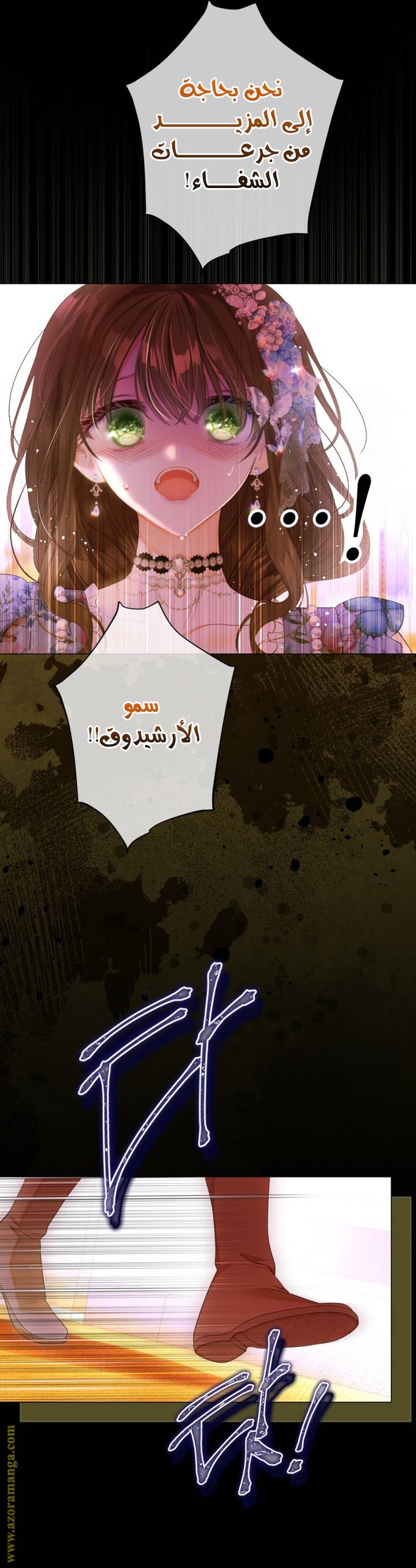 الصفحة 13