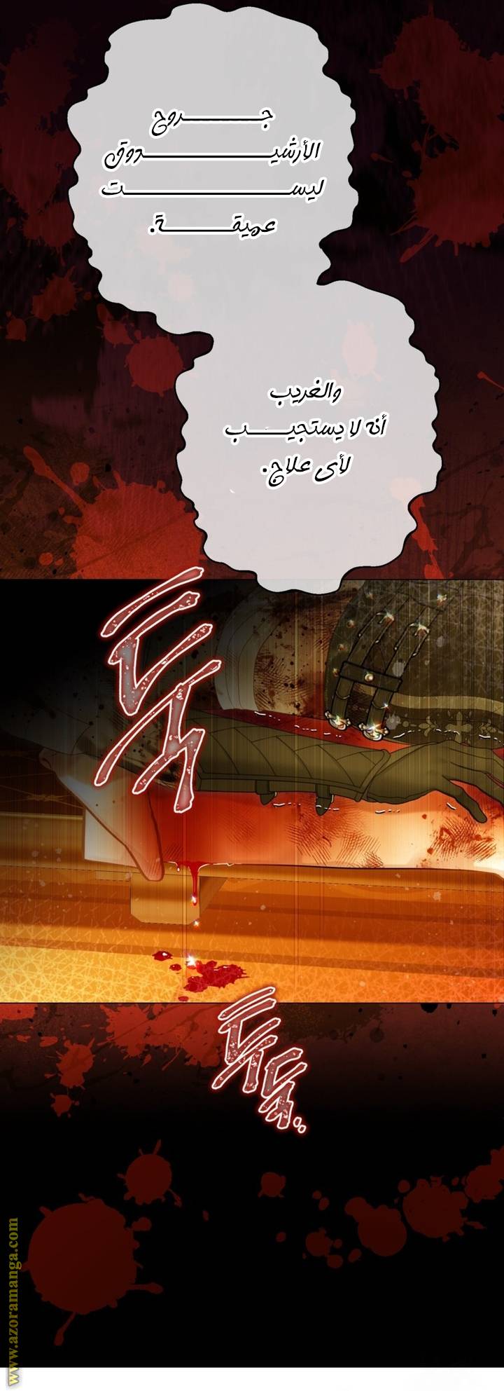 الصفحة 17