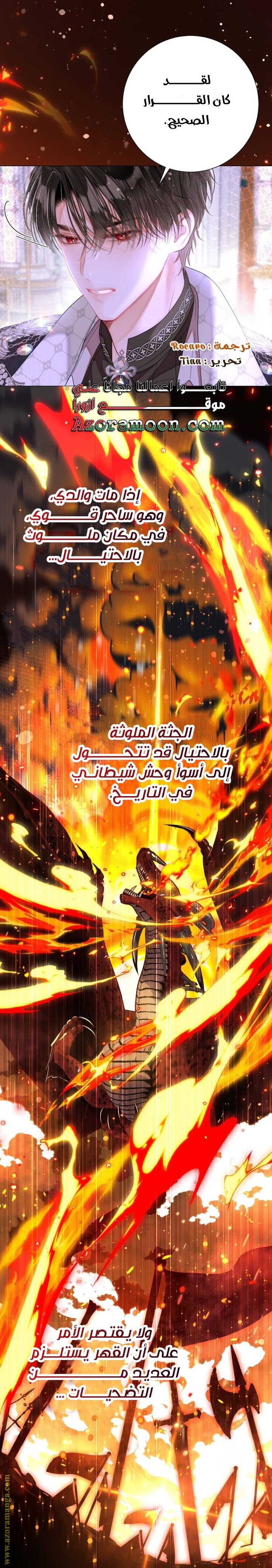 الصفحة 25