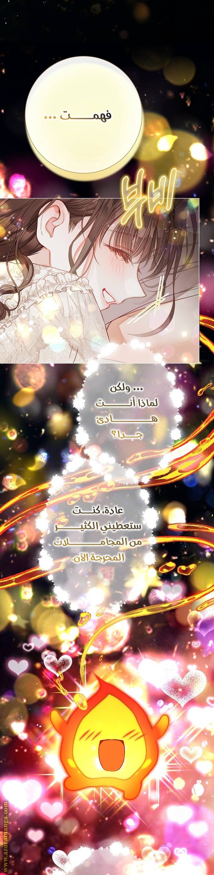 الصفحة 17