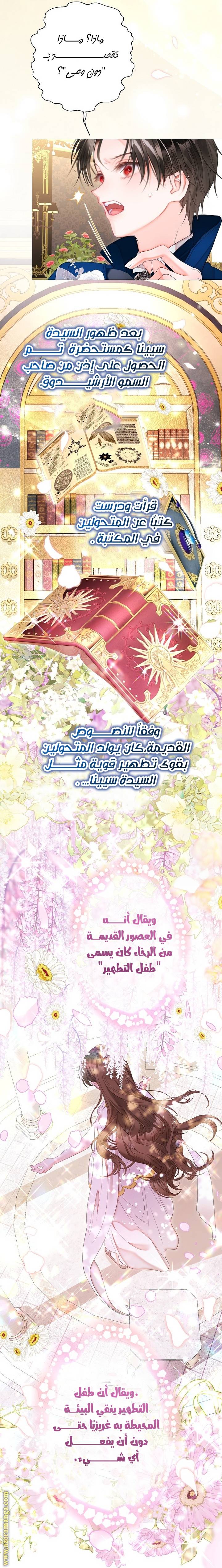 الصفحة 28