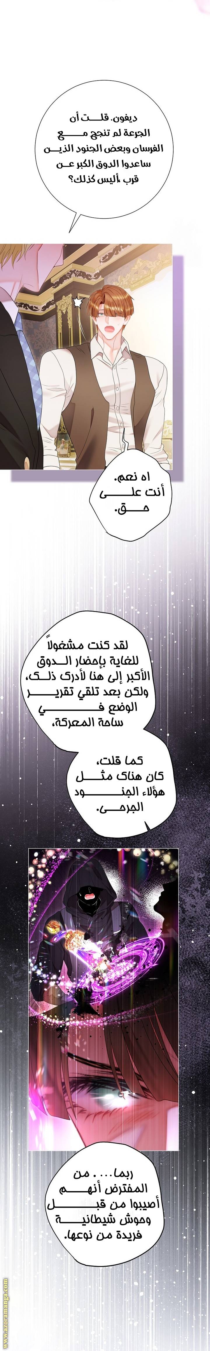 الصفحة 29