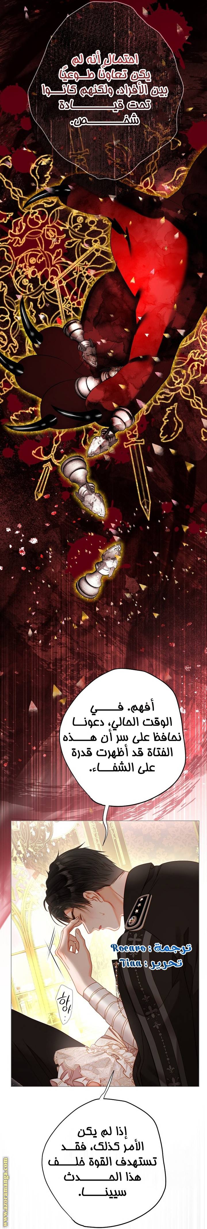 الصفحة 43