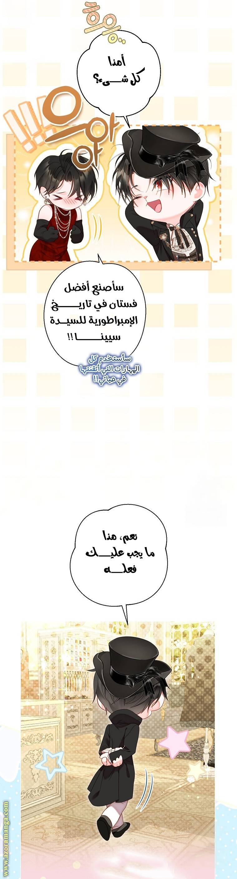 الصفحة 17