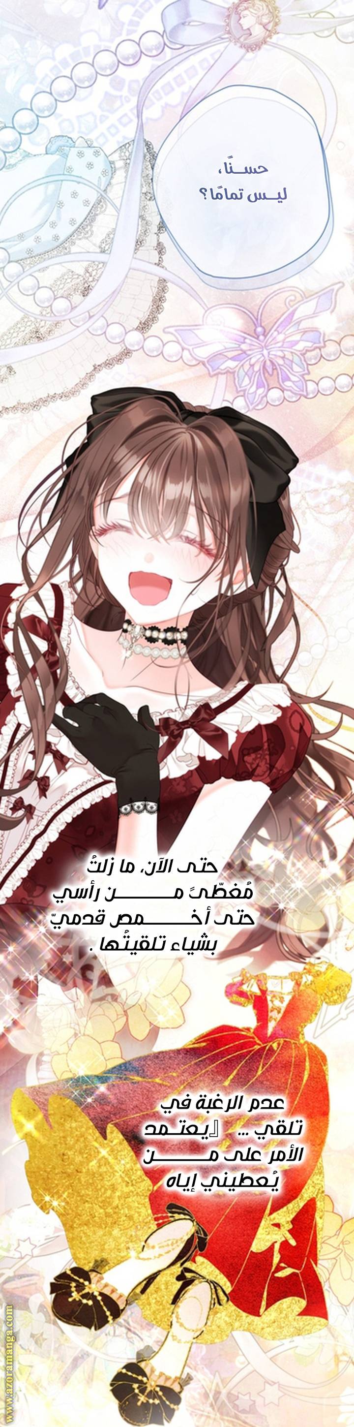 الصفحة 25