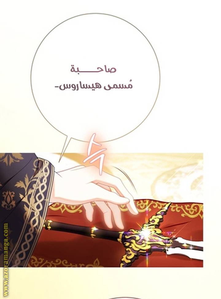 الصفحة 28