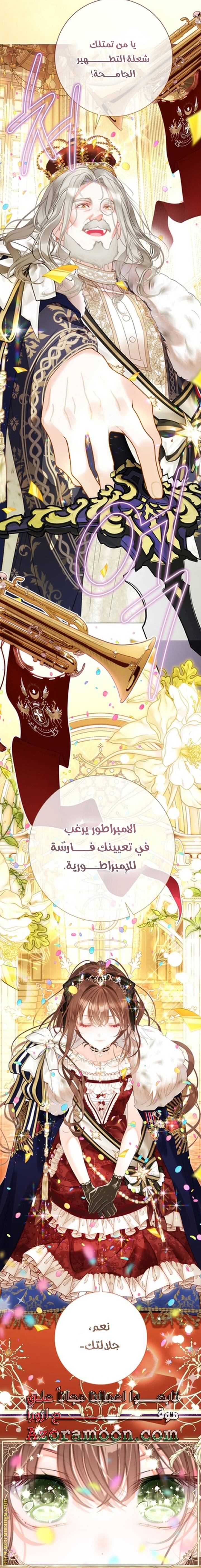 الصفحة 29