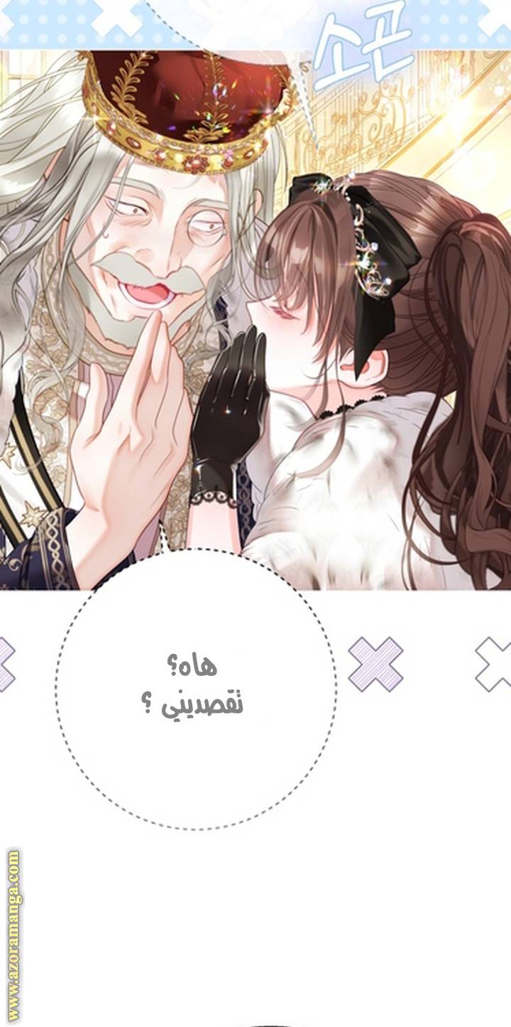 الصفحة 47