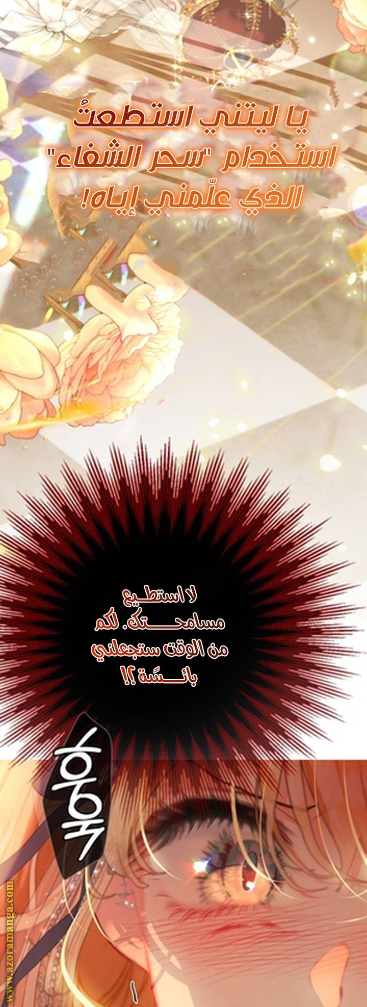 الصفحة 61