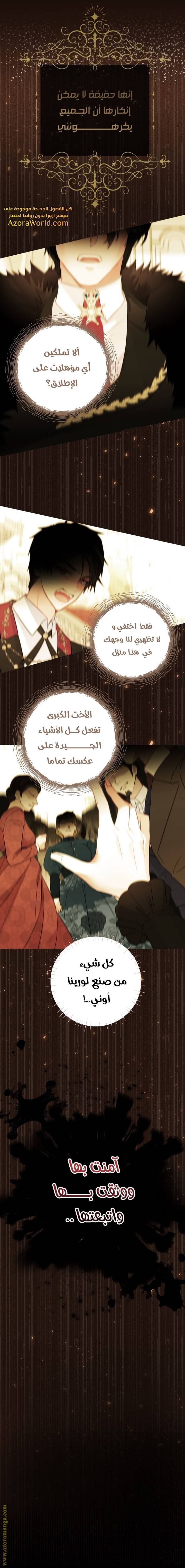 الصفحة 17