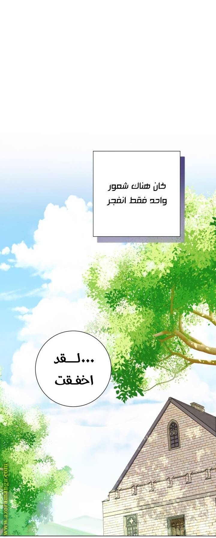 الصفحة 46