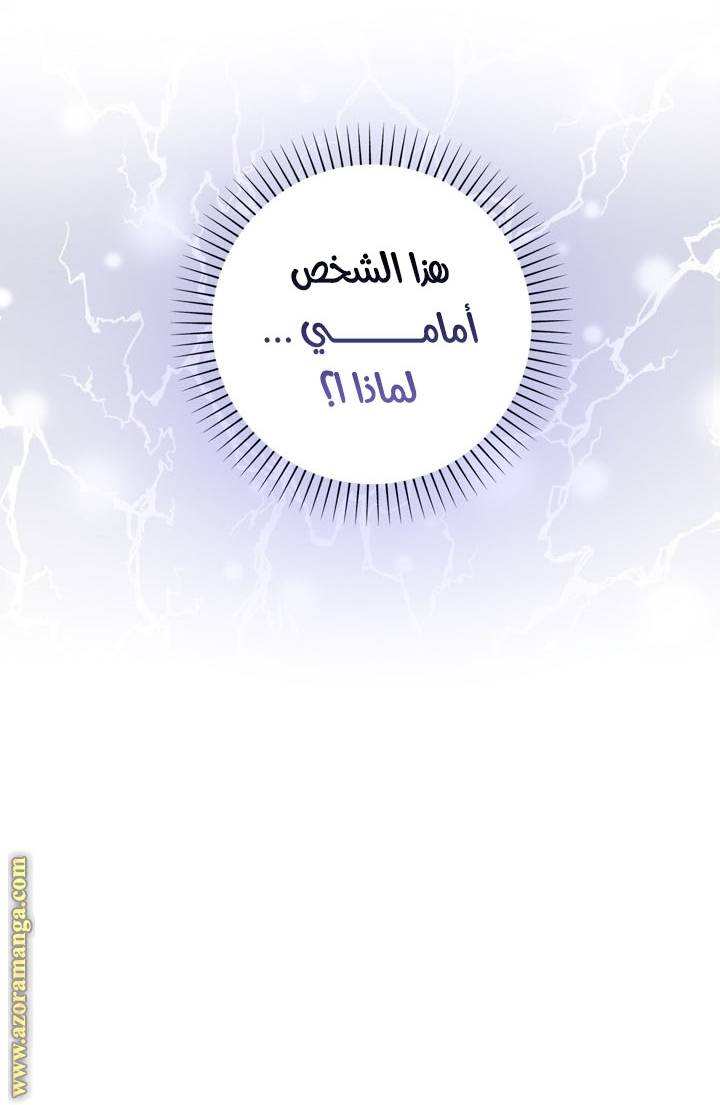 الصفحة 87