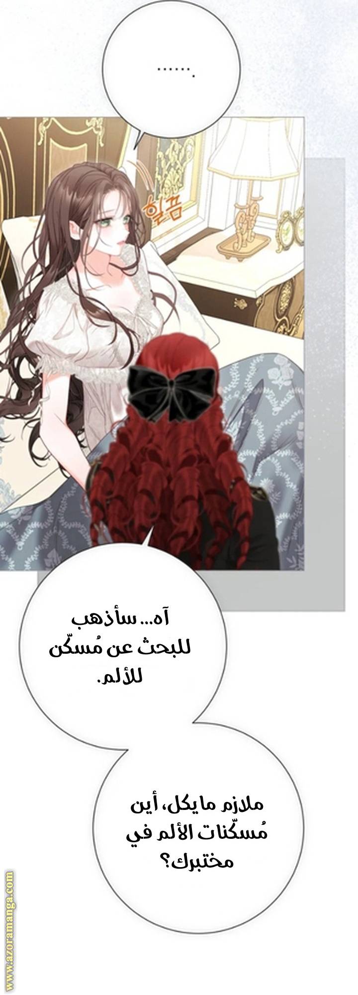 الصفحة 13