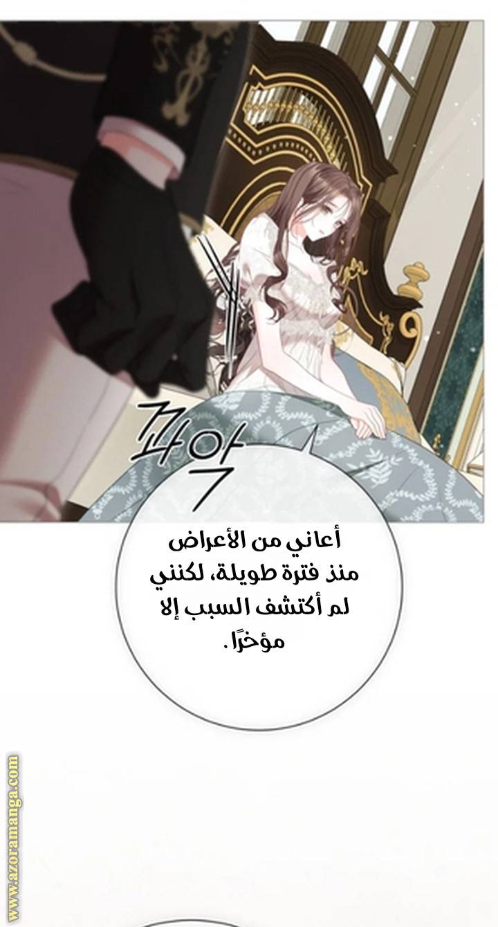 الصفحة 24