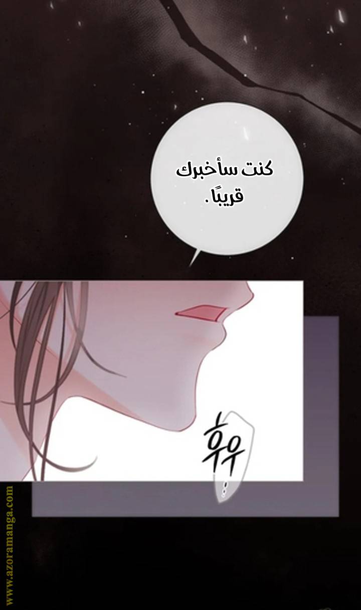 الصفحة 28