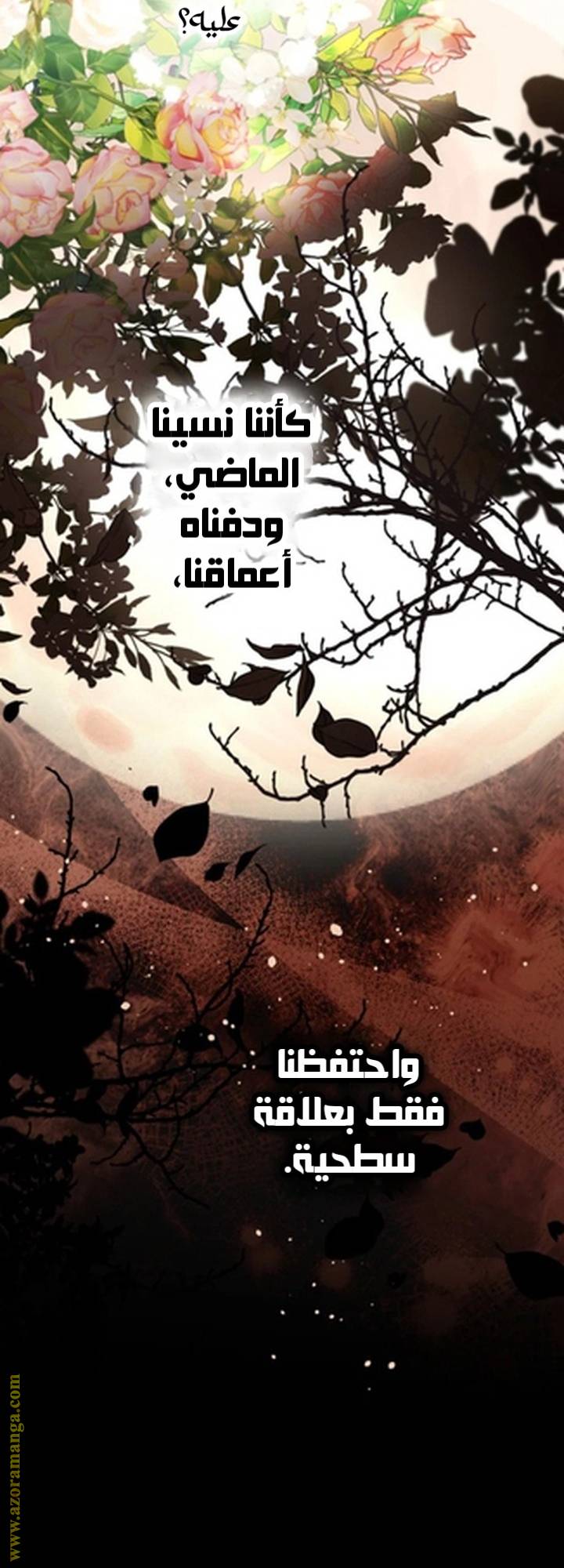 الصفحة 37