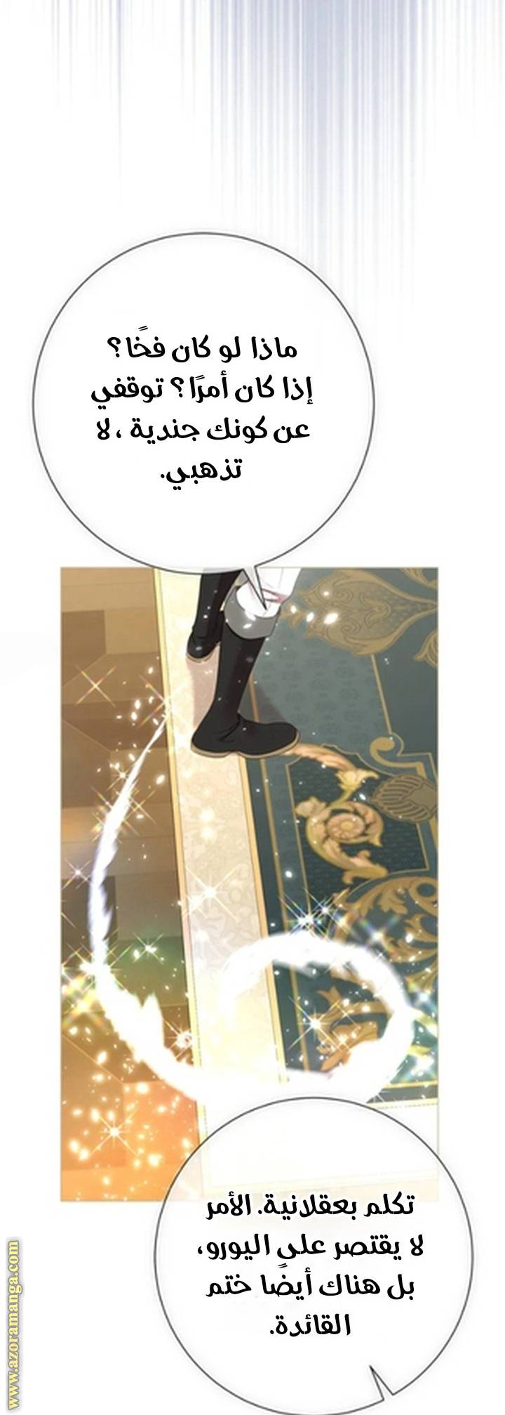 الصفحة 47