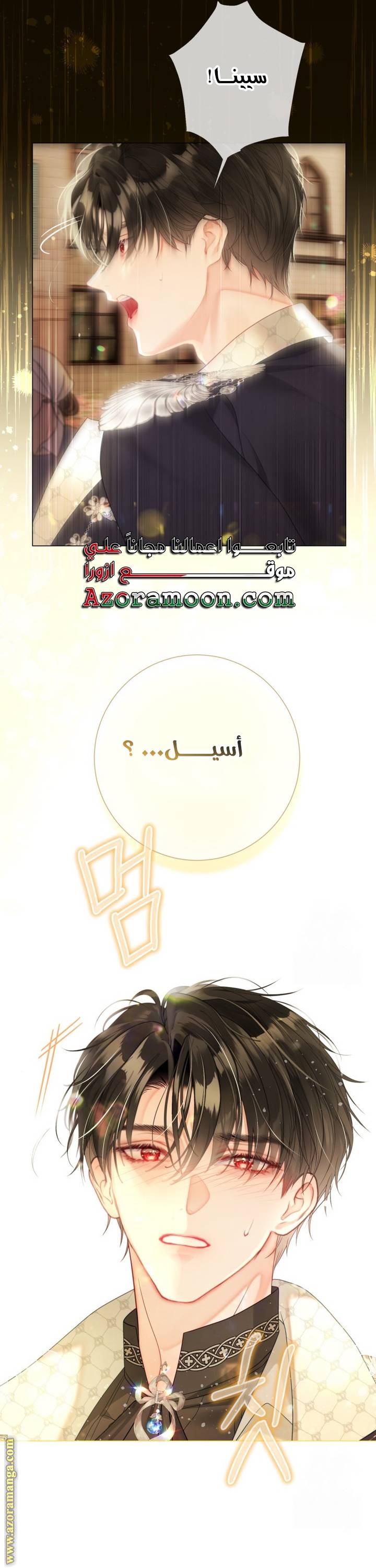 الصفحة 29