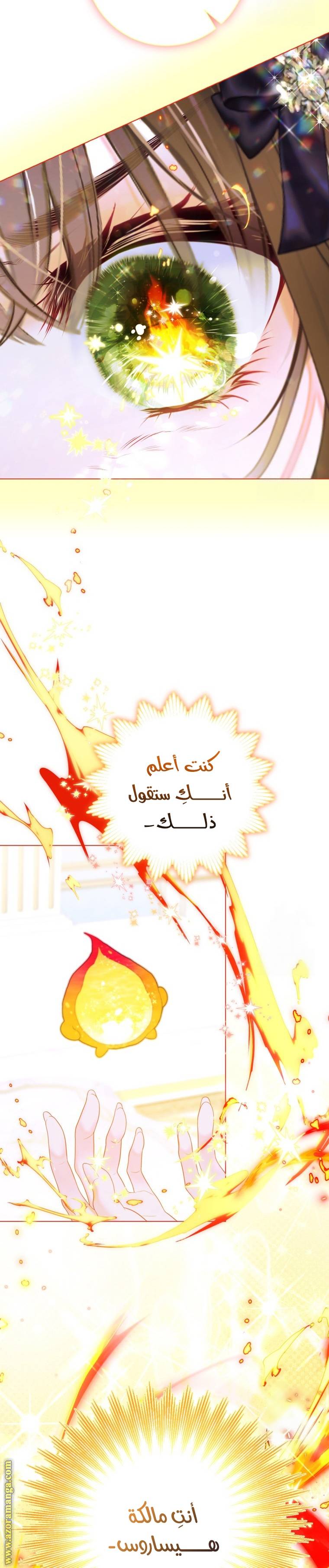الصفحة 20