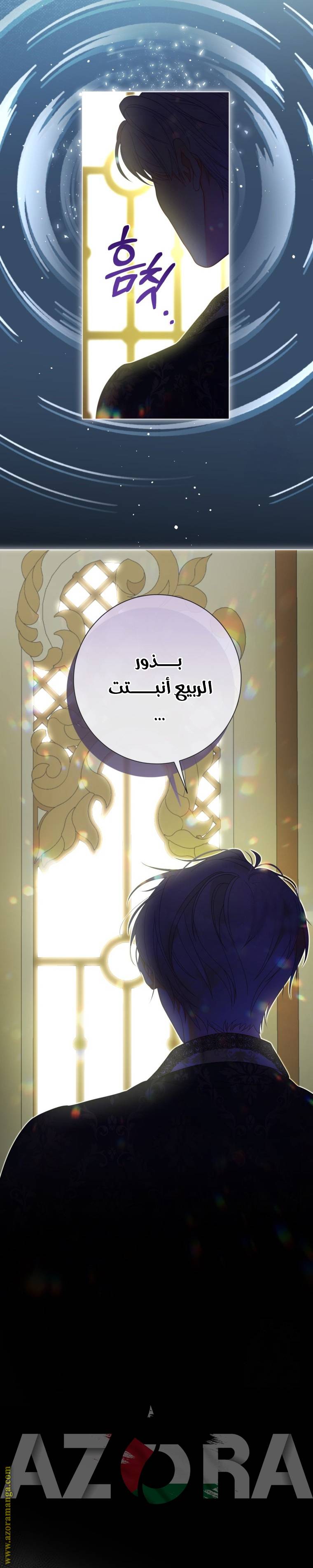 الصفحة 29