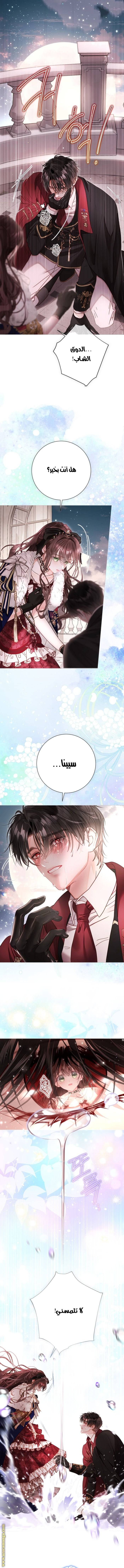 الصفحة 12