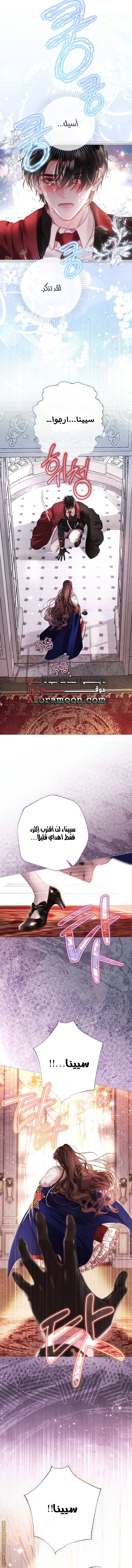 الصفحة 13