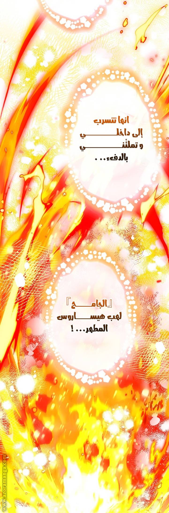 الصفحة 31