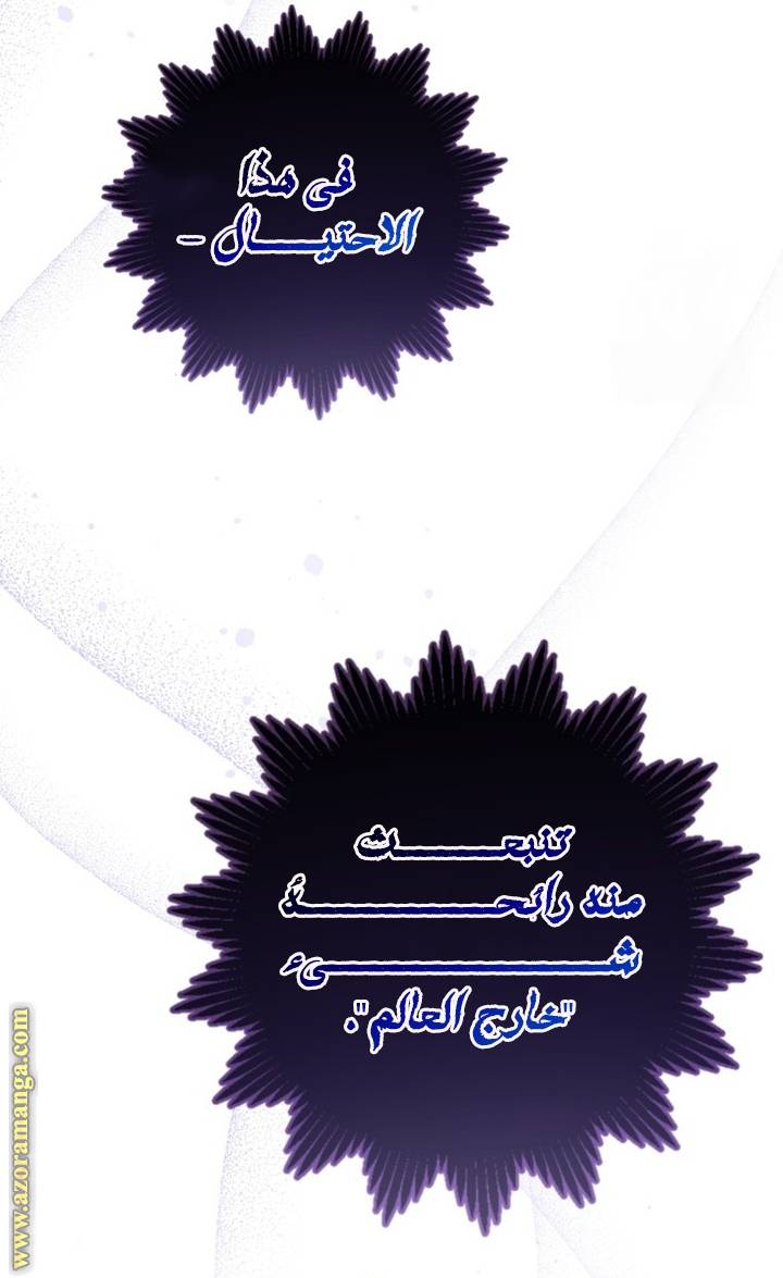 الصفحة 43