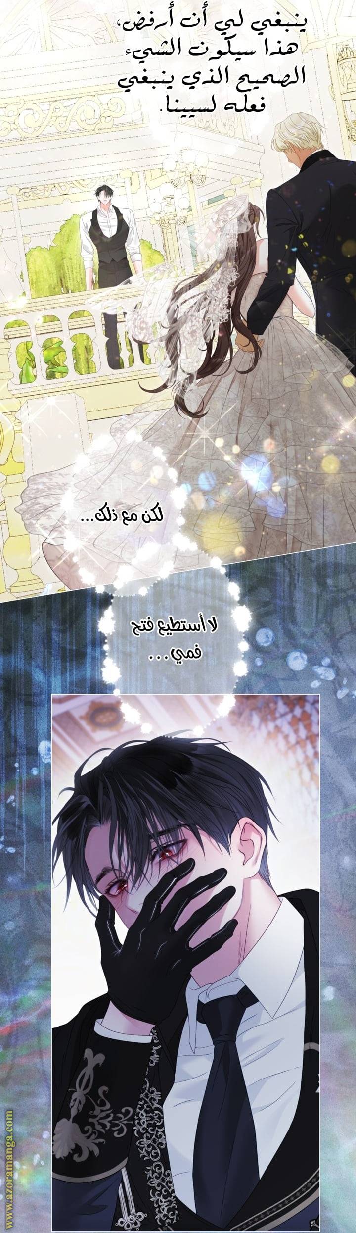 الصفحة 26