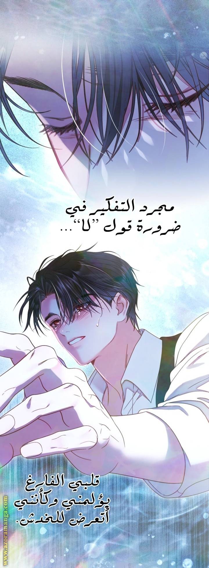 الصفحة 27