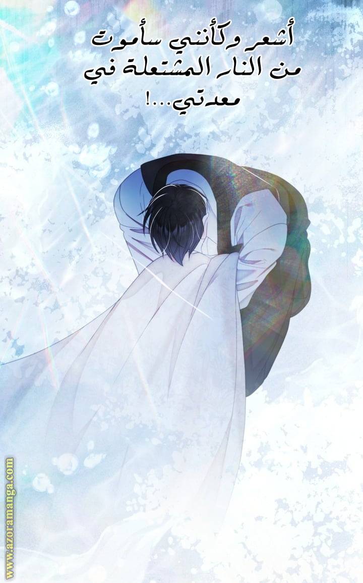 الصفحة 28