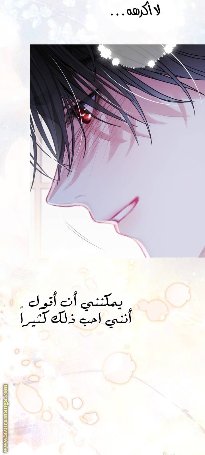 الصفحة 30