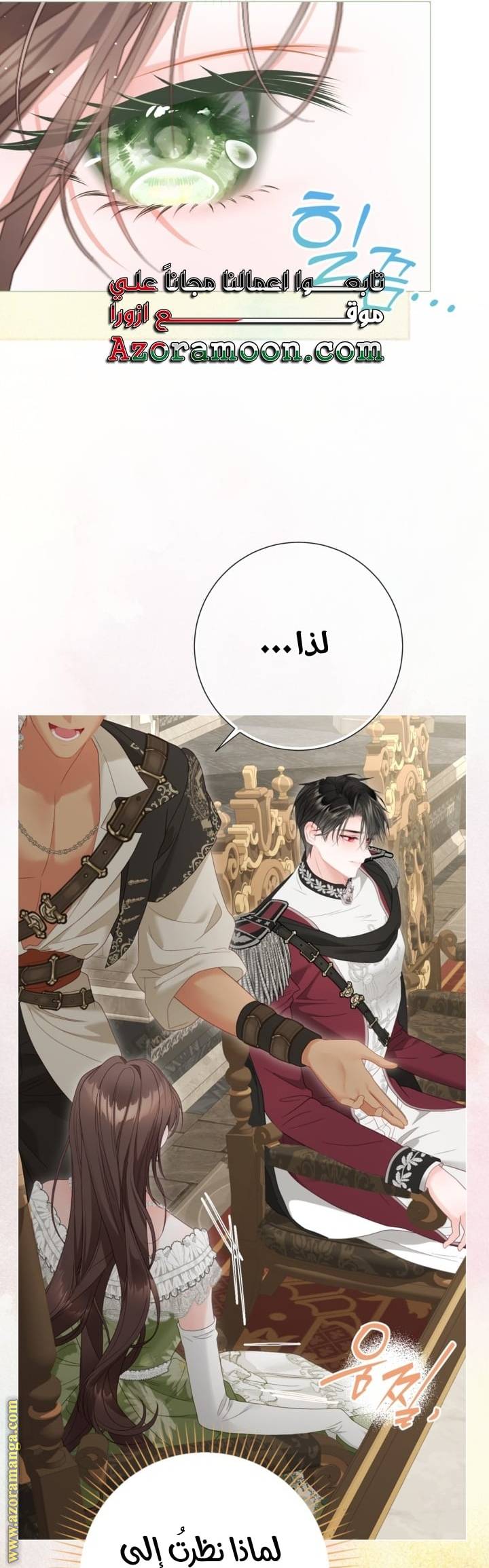 الصفحة 41